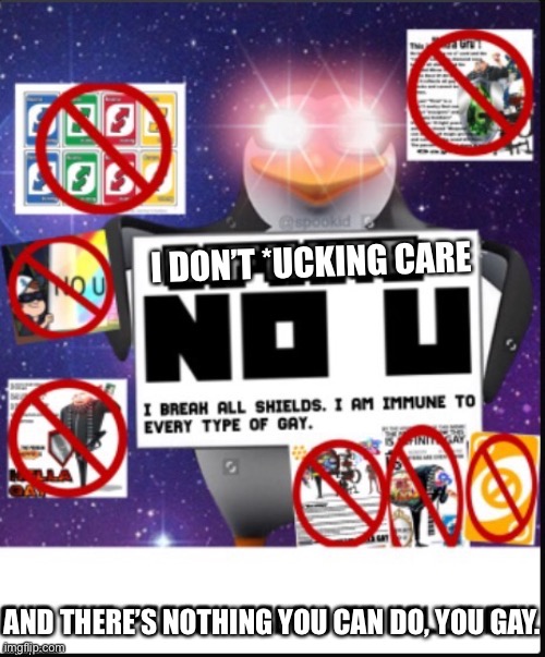 I Don’t *ucking Care NO U | I DON’T *UCKING CARE; AND THERE’S NOTHING YOU CAN DO, YOU GAY. | image tagged in infinite no u | made w/ Imgflip meme maker