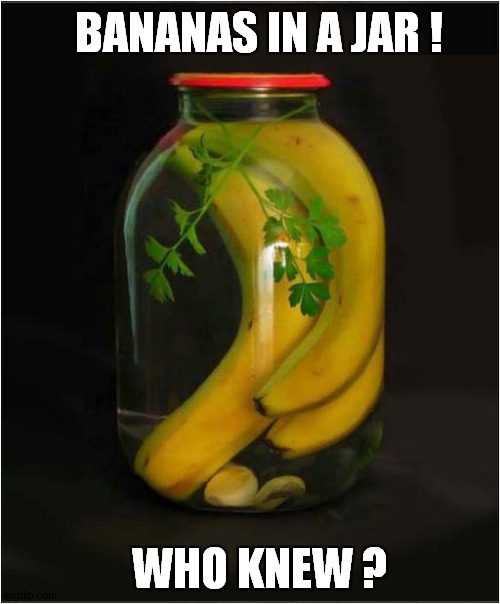 Somewhat Strange ? | BANANAS IN A JAR ! WHO KNEW ? | image tagged in fun,odd,bananas,jar | made w/ Imgflip meme maker