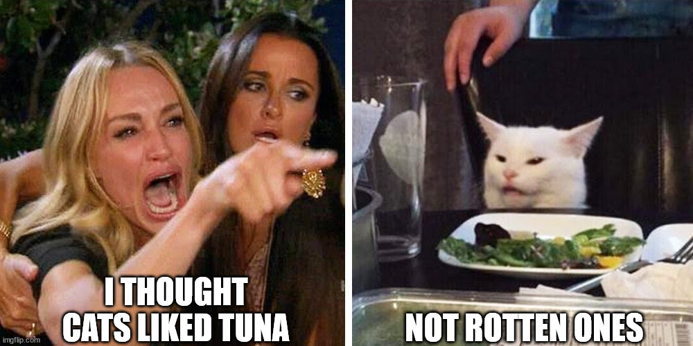 Smudge the cat | I THOUGHT CATS LIKED TUNA; NOT ROTTEN ONES | image tagged in smudge the cat | made w/ Imgflip meme maker