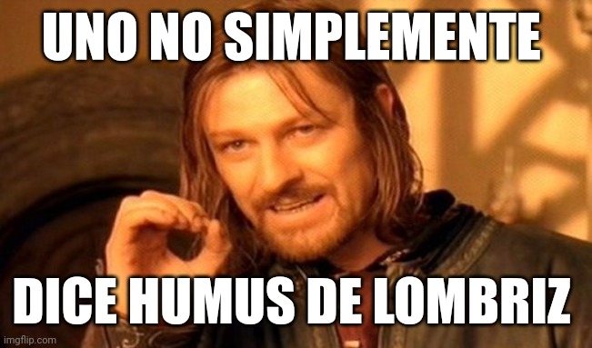 One Does Not Simply Meme | UNO NO SIMPLEMENTE; DICE HUMUS DE LOMBRIZ | image tagged in memes,one does not simply | made w/ Imgflip meme maker