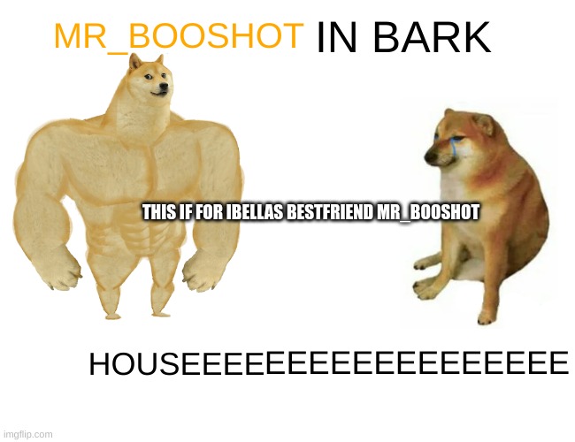 Buff Doge vs. Cheems | IN BARK; MR_BOOSHOT; THIS IF FOR IBELLAS BESTFRIEND MR_BOOSHOT; EEEEEEEEEEEEEE; HOUSEEEE | image tagged in memes,buff doge vs cheems | made w/ Imgflip meme maker