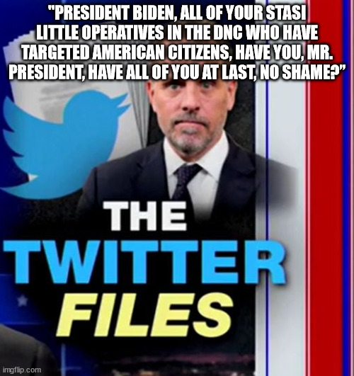 Biden Crime Family | "PRESIDENT BIDEN, ALL OF YOUR STASI LITTLE OPERATIVES IN THE DNC WHO HAVE TARGETED AMERICAN CITIZENS, HAVE YOU, MR. PRESIDENT, HAVE ALL OF YOU AT LAST, NO SHAME?” | image tagged in joe biden,shame,election fraud,rigged elections | made w/ Imgflip meme maker