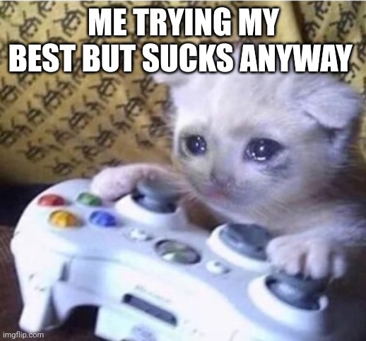 cat sad controller | ME TRYING MY BEST BUT SUCKS ANYWAY | image tagged in cat sad controller | made w/ Imgflip meme maker