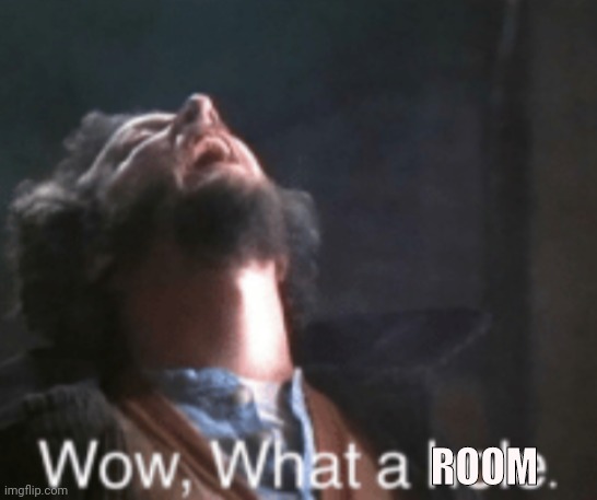 What a hole home alone | ROOM | image tagged in what a hole home alone | made w/ Imgflip meme maker