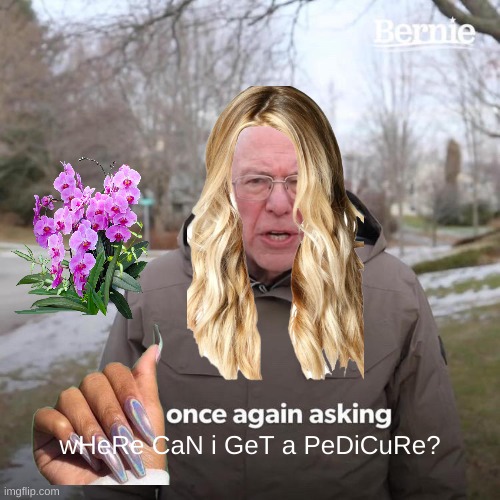 Bernie I Am Once Again Asking For Your Support Meme | wHeRe CaN i GeT a PeDiCuRe? | image tagged in memes,bernie i am once again asking for your support | made w/ Imgflip meme maker