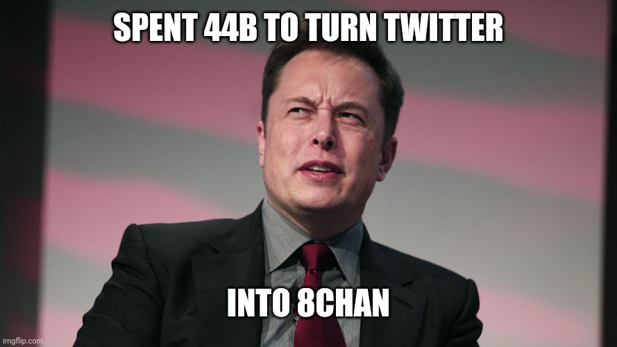 Confused Elon Musk | SPENT 44B TO TURN TWITTER INTO 8CHAN | image tagged in confused elon musk | made w/ Imgflip meme maker