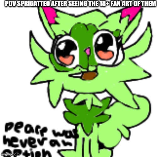 Poor buddy | POV SPRIGATTEO AFTER SEEING THE 18+ FAN ART OF THEM | image tagged in peace was never an option | made w/ Imgflip meme maker
