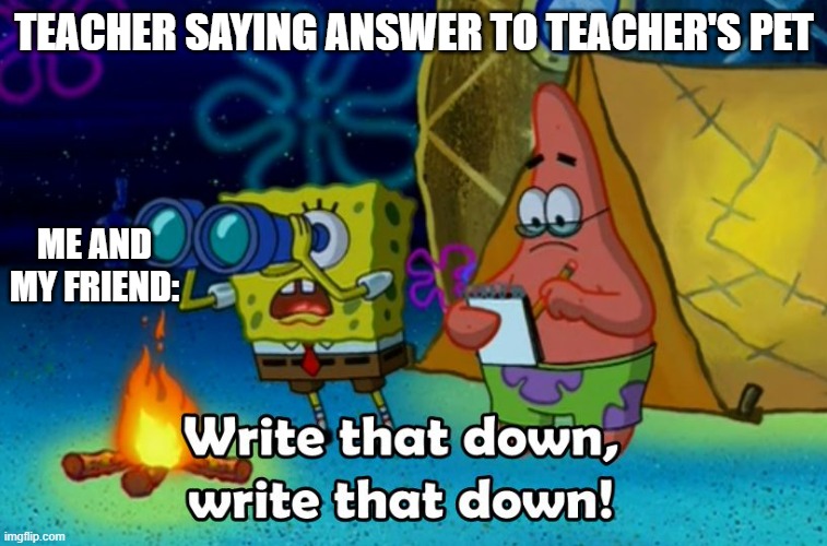 write that down | TEACHER SAYING ANSWER TO TEACHER'S PET; ME AND MY FRIEND: | image tagged in write that down | made w/ Imgflip meme maker