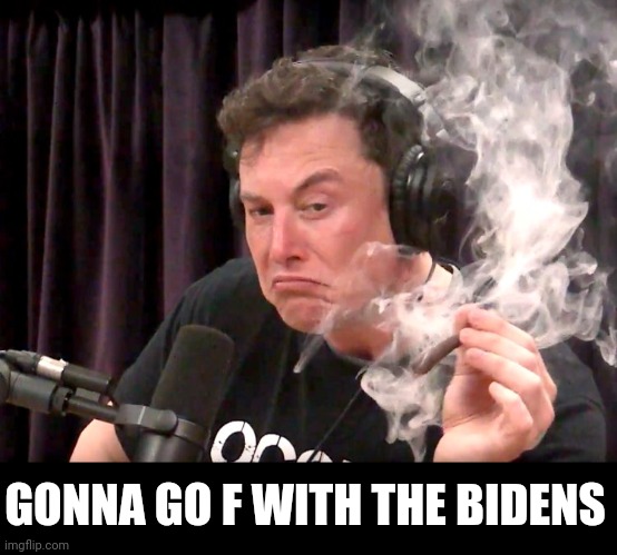 Elon Musk Weed | GONNA GO F WITH THE BIDENS | image tagged in elon musk weed | made w/ Imgflip meme maker