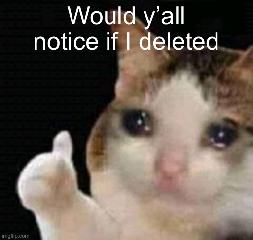 sadge | Would y’all notice if I deleted | image tagged in sadge | made w/ Imgflip meme maker