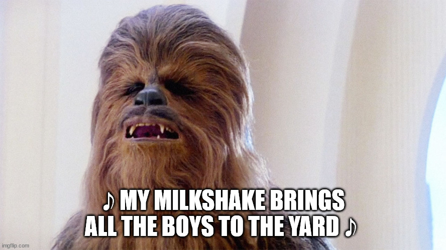 Chewie sings the classics | 𝅘𝅥𝅮 MY MILKSHAKE BRINGS ALL THE BOYS TO THE YARD 𝅘𝅥𝅮 | image tagged in chewbacca | made w/ Imgflip meme maker