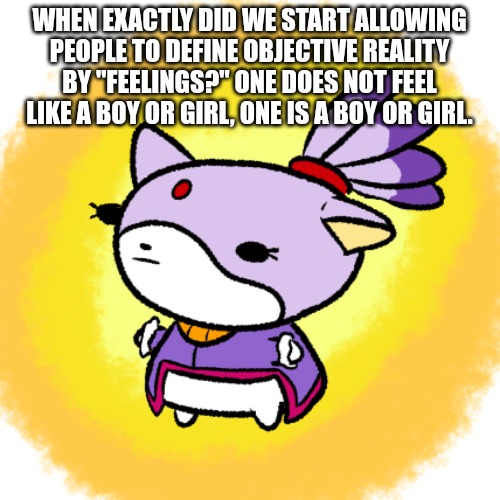Blaze | WHEN EXACTLY DID WE START ALLOWING PEOPLE TO DEFINE OBJECTIVE REALITY BY "FEELINGS?" ONE DOES NOT FEEL LIKE A BOY OR GIRL, ONE IS A BOY OR GIRL. | image tagged in blaze | made w/ Imgflip meme maker