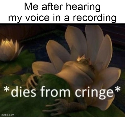 Dies from cringe | Me after hearing my voice in a recording | image tagged in dies from cringe | made w/ Imgflip meme maker