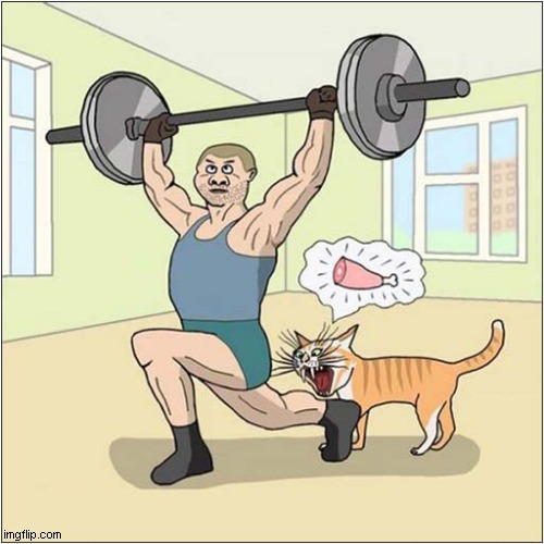 How To Kill Your Owner ! | image tagged in cats,weight lifting,biting | made w/ Imgflip meme maker