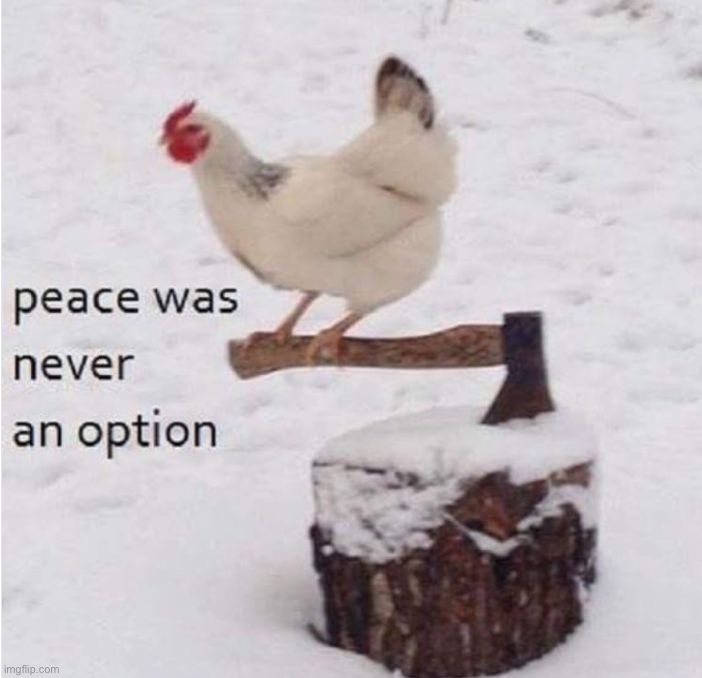 image tagged in memes,funny | made w/ Imgflip meme maker