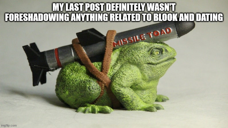 Missile Toad | MY LAST POST DEFINITELY WASN'T FORESHADOWING ANYTHING RELATED TO BLOOK AND DATING | image tagged in missile toad | made w/ Imgflip meme maker