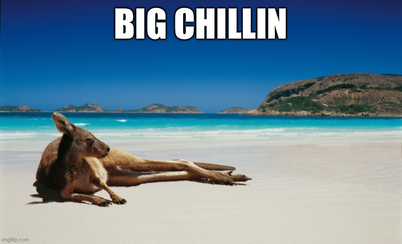 Australia | BIG CHILLIN | image tagged in australia | made w/ Imgflip meme maker