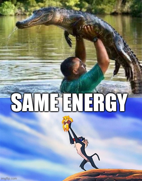 SAME ENERGY | image tagged in gator,lion king rafiki simba | made w/ Imgflip meme maker