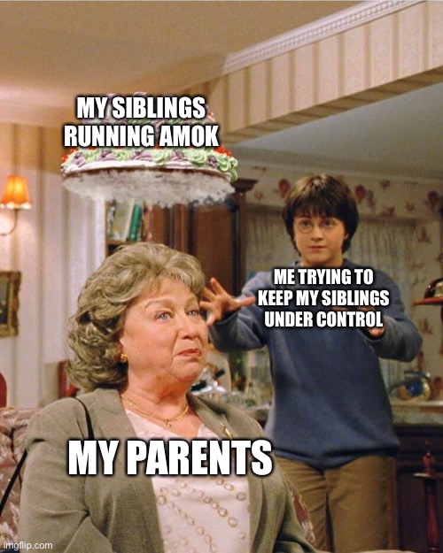 Harry Potter Cake | MY SIBLINGS RUNNING AMOK; ME TRYING TO KEEP MY SIBLINGS UNDER CONTROL; MY PARENTS | image tagged in harry potter cake | made w/ Imgflip meme maker