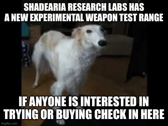 Low quality borzoi dog | SHADEARIA RESEARCH LABS HAS A NEW EXPERIMENTAL WEAPON TEST RANGE; IF ANYONE IS INTERESTED IN TRYING OR BUYING CHECK IN HERE | image tagged in low quality borzoi dog | made w/ Imgflip meme maker