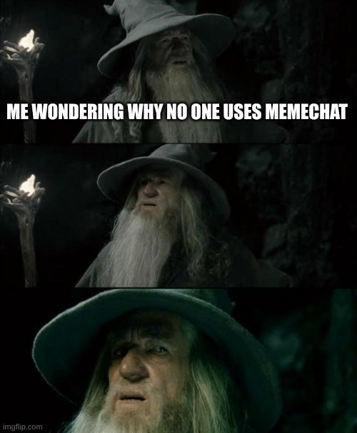 like why |  ME WONDERING WHY NO ONE USES MEMECHAT | image tagged in confused gandalf,oh wow are you actually reading these tags,stop reading the tags,please | made w/ Imgflip meme maker