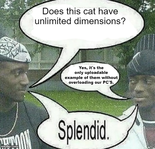 We sell crack Splendid | Does this cat have unlimited dimensions? Yes, it's the only uploadable example of them without overloading our PC'S. | image tagged in we sell crack splendid | made w/ Imgflip meme maker