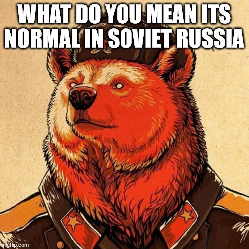 soviet bear | WHAT DO YOU MEAN ITS NORMAL IN SOVIET RUSSIA | image tagged in soviet bear | made w/ Imgflip meme maker