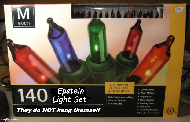 Please Note: Assistance Required for Hanging | Epstein
Light Set; They do NOT hang themself | image tagged in jeffrey epstein,christmas lights | made w/ Imgflip meme maker