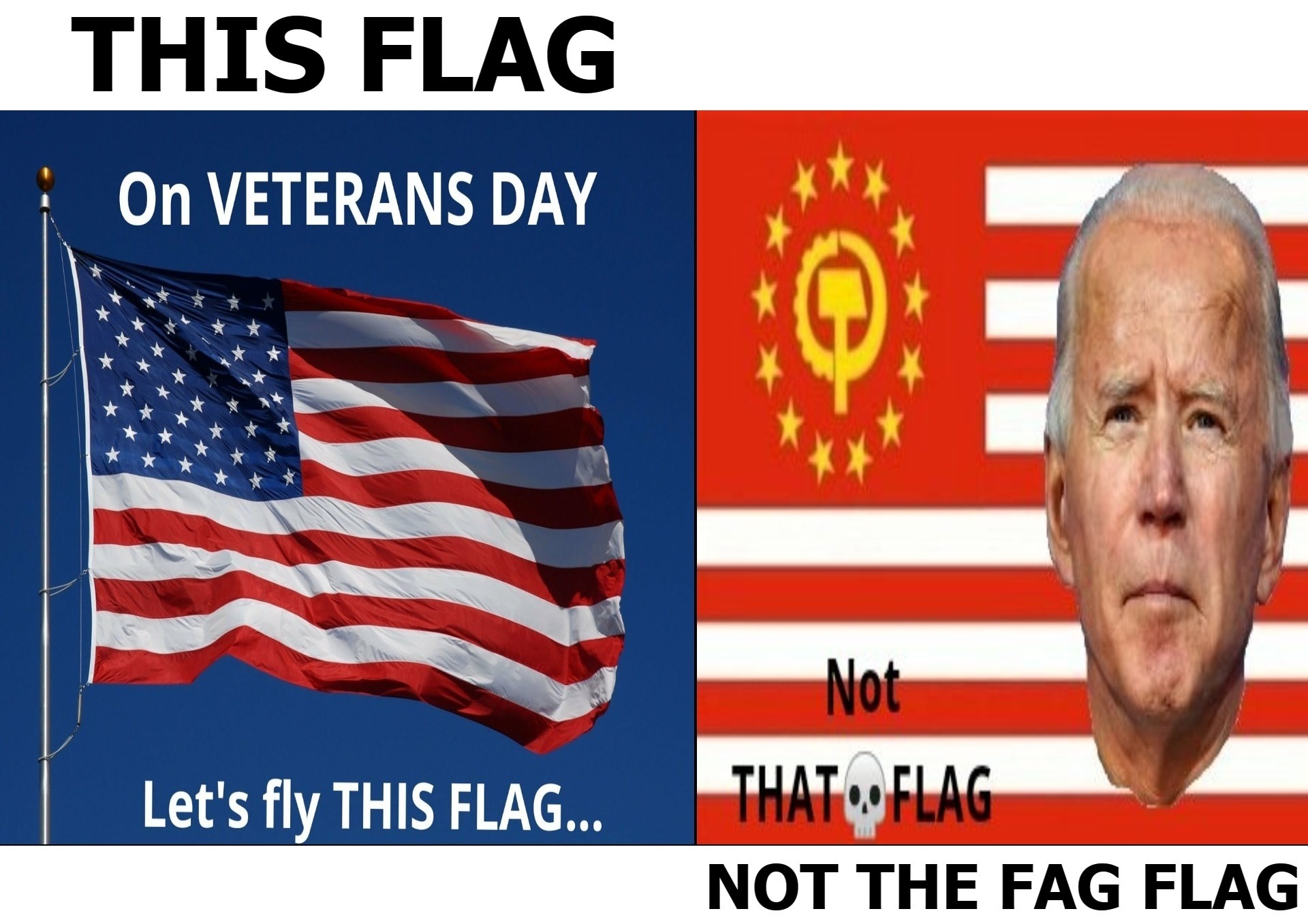 On Veterans Day, and EVERY DAY let's fly this flag. | image tagged in veterans day | made w/ Imgflip meme maker