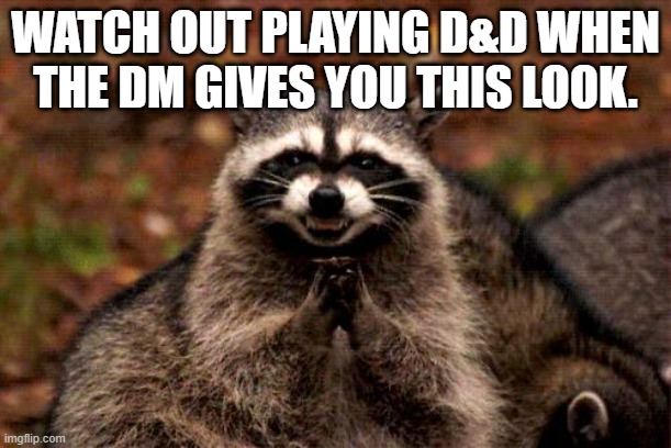 Dungeons and Dragons players will get it | WATCH OUT PLAYING D&D WHEN THE DM GIVES YOU THIS LOOK. | image tagged in memes,evil plotting raccoon,dungeons and dragons,nerd,rpg fan,funny memes | made w/ Imgflip meme maker
