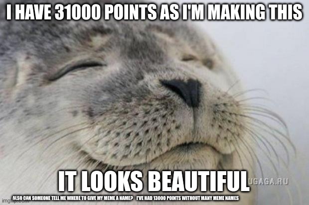 Happy Seal | I HAVE 31000 POINTS AS I'M MAKING THIS; IT LOOKS BEAUTIFUL; ALSO CAN SOMEONE TELL ME WHERE TO GIVE MY MEME A NAME?    I'VE HAD 13000 POINTS WITHOUT MANY MEME NAMES | image tagged in happy seal | made w/ Imgflip meme maker