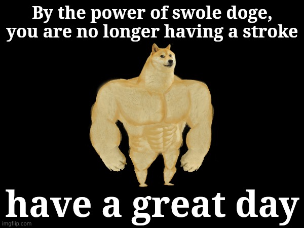 By the power of swole doge, you are no longer having a stroke have a great day | made w/ Imgflip meme maker