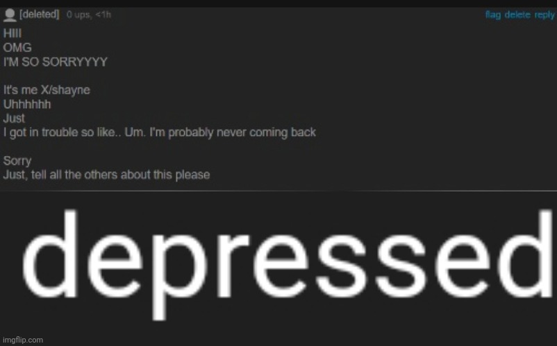 made w/ Imgflip meme maker