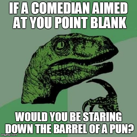 Philosoraptor | IF A COMEDIAN AIMED AT YOU POINT BLANK WOULD YOU BE STARING DOWN THE BARREL OF A PUN? | image tagged in memes,philosoraptor | made w/ Imgflip meme maker