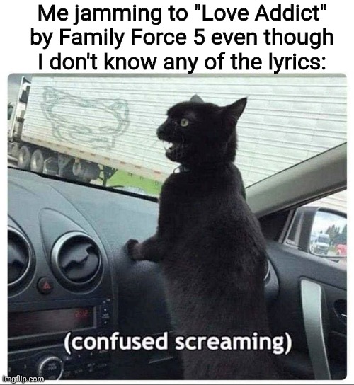 Hold up, wait a minute, put a little love in it! | Me jamming to "Love Addict" by Family Force 5 even though I don't know any of the lyrics: | image tagged in confused screaming cat,christian music,music | made w/ Imgflip meme maker