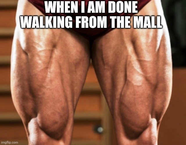 stronger legs | WHEN I AM DONE WALKING FROM THE MALL | image tagged in stronger legs | made w/ Imgflip meme maker