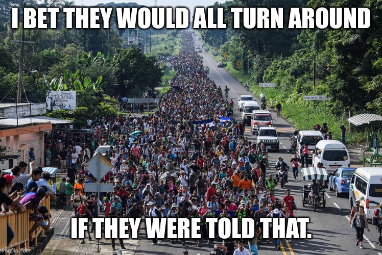 immigrant caravan | I BET THEY WOULD ALL TURN AROUND IF THEY WERE TOLD THAT. | image tagged in immigrant caravan | made w/ Imgflip meme maker