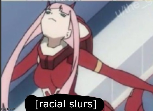 zero two racial slurs | image tagged in zero two racial slurs | made w/ Imgflip meme maker