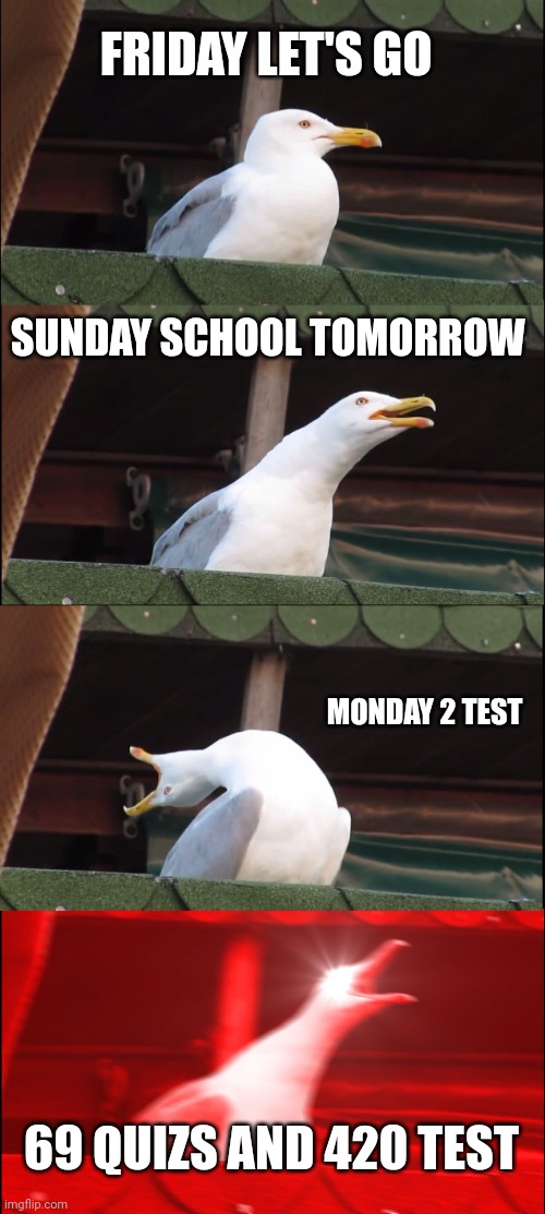 Inhaling Seagull Meme | FRIDAY LET'S GO; SUNDAY SCHOOL TOMORROW; MONDAY 2 TEST; 69 QUIZS AND 420 TEST | image tagged in memes,inhaling seagull | made w/ Imgflip meme maker