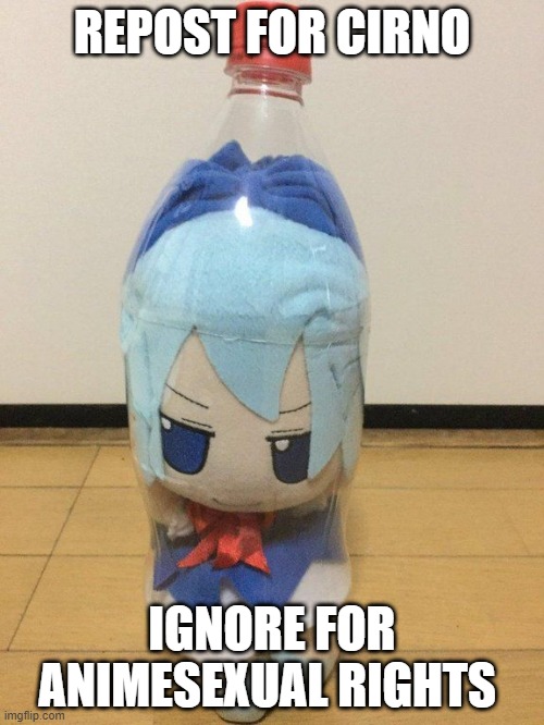 cirno fumo in bottle | REPOST FOR CIRNO; IGNORE FOR ANIMESEXUAL RIGHTS | image tagged in cirno fumo in bottle | made w/ Imgflip meme maker