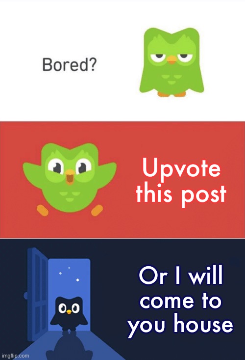 Duolingo Bored 3-Panel | Upvote this post; Or I will come to you house | image tagged in duolingo bored 3-panel | made w/ Imgflip meme maker