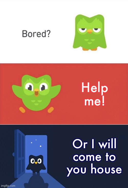 Duolingo Bored 3-Panel | Help me! Or I will come to you house | image tagged in duolingo bored 3-panel | made w/ Imgflip meme maker