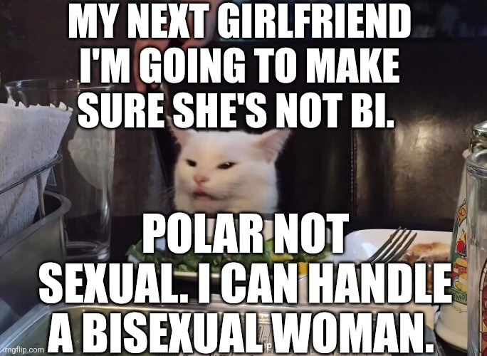  MY NEXT GIRLFRIEND I'M GOING TO MAKE SURE SHE'S NOT BI. POLAR NOT SEXUAL. I CAN HANDLE A BISEXUAL WOMAN. | image tagged in smudge the cat,funny memes | made w/ Imgflip meme maker