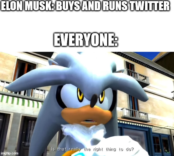 Twitter is dying lol | ELON MUSK: BUYS AND RUNS TWITTER; EVERYONE: | image tagged in silver,twitter | made w/ Imgflip meme maker