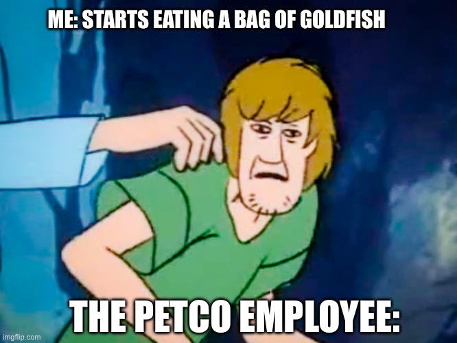 Shaggy meme | ME: STARTS EATING A BAG OF GOLDFISH; THE PETCO EMPLOYEE: | image tagged in shaggy meme | made w/ Imgflip meme maker