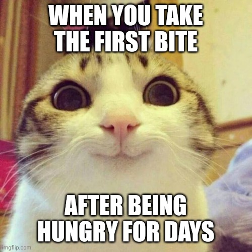 Smiling Cat Meme | WHEN YOU TAKE THE FIRST BITE; AFTER BEING HUNGRY FOR DAYS | image tagged in memes,smiling cat | made w/ Imgflip meme maker