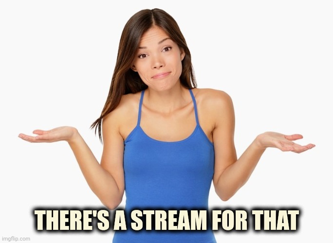 THERE'S A STREAM FOR THAT | made w/ Imgflip meme maker
