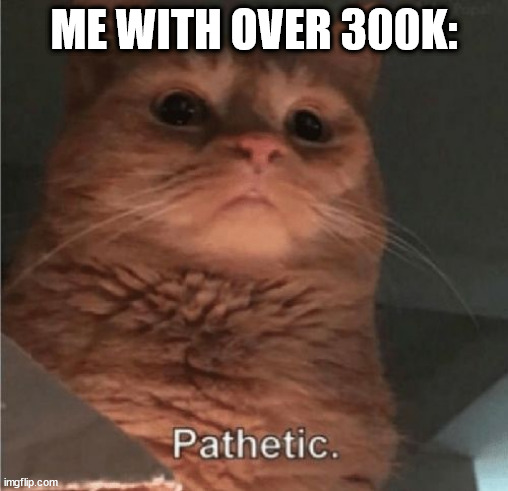 Pathetic Cat | ME WITH OVER 300K: | image tagged in pathetic cat | made w/ Imgflip meme maker