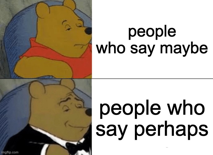 perhaps i'm right | people who say maybe; people who say perhaps | image tagged in memes,tuxedo winnie the pooh | made w/ Imgflip meme maker