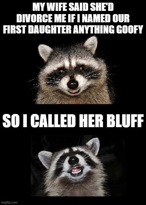 Going All In | MY WIFE SAID SHE'D DIVORCE ME IF I NAMED OUR FIRST DAUGHTER ANYTHING GOOFY; SO I CALLED HER BLUFF | image tagged in lame pun coon,lame joke,dad joke | made w/ Imgflip meme maker